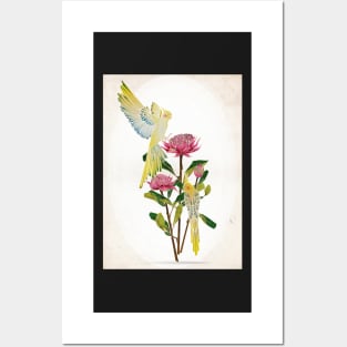 botanical birds Posters and Art